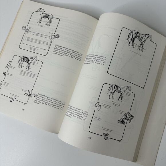 Vtg Animal Sanitation & Disease Prevention Book Manual 2nd Ed Farm Homestead - Picture 8 of 15